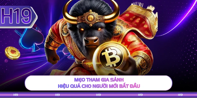 Mẹo tham gia sảnh hiệu quả cho người mới bắt đầu 