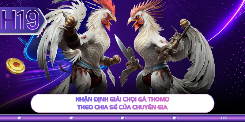 Nhận định giải chọi gà Thomo theo chia sẻ của chuyên gia